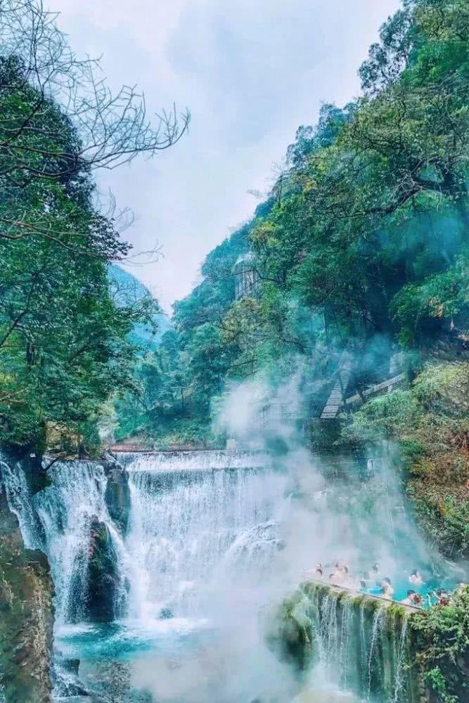 动物帮帮忙保卫家园